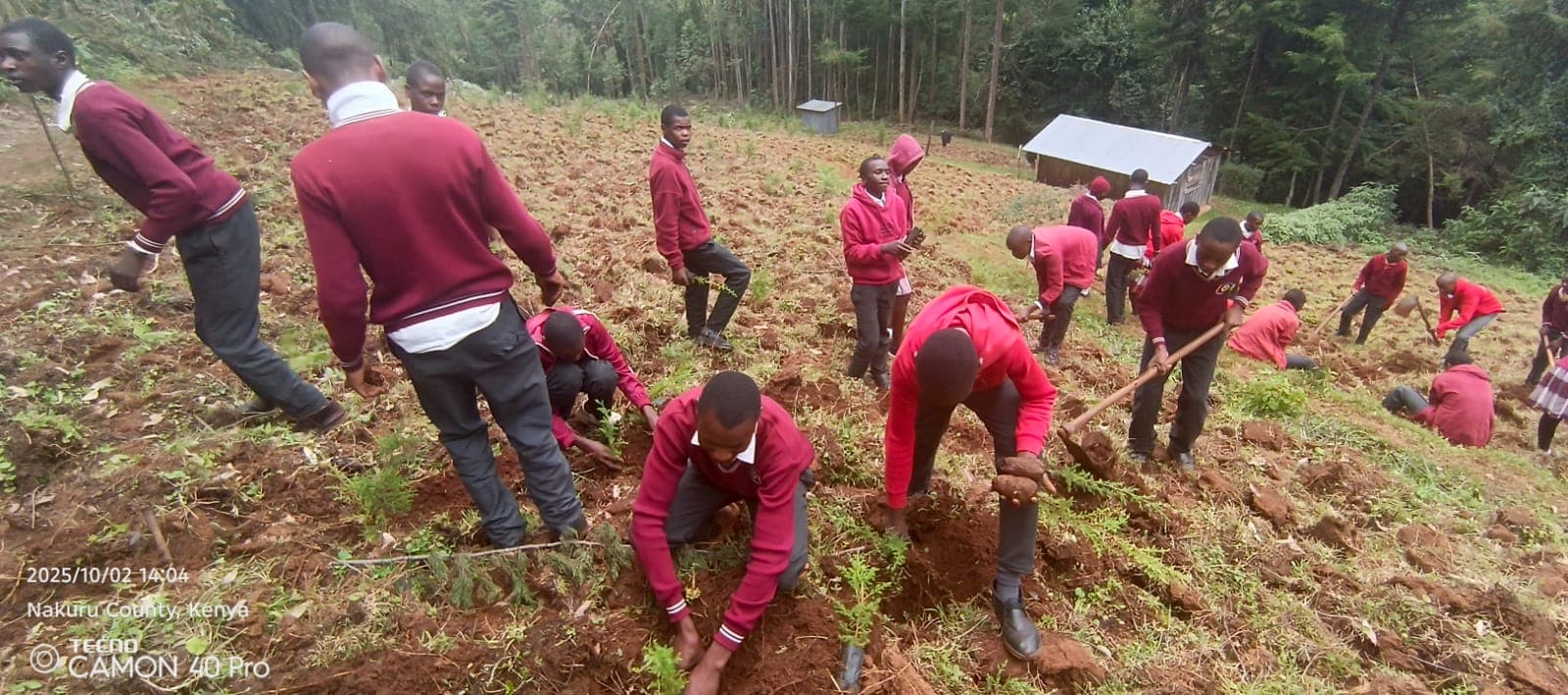 Students planting in a field during an agriculture practical