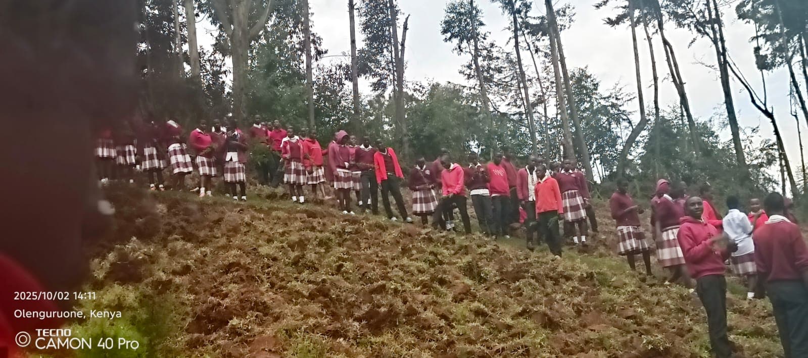 Students lined up on a hillside planting tree seedlings