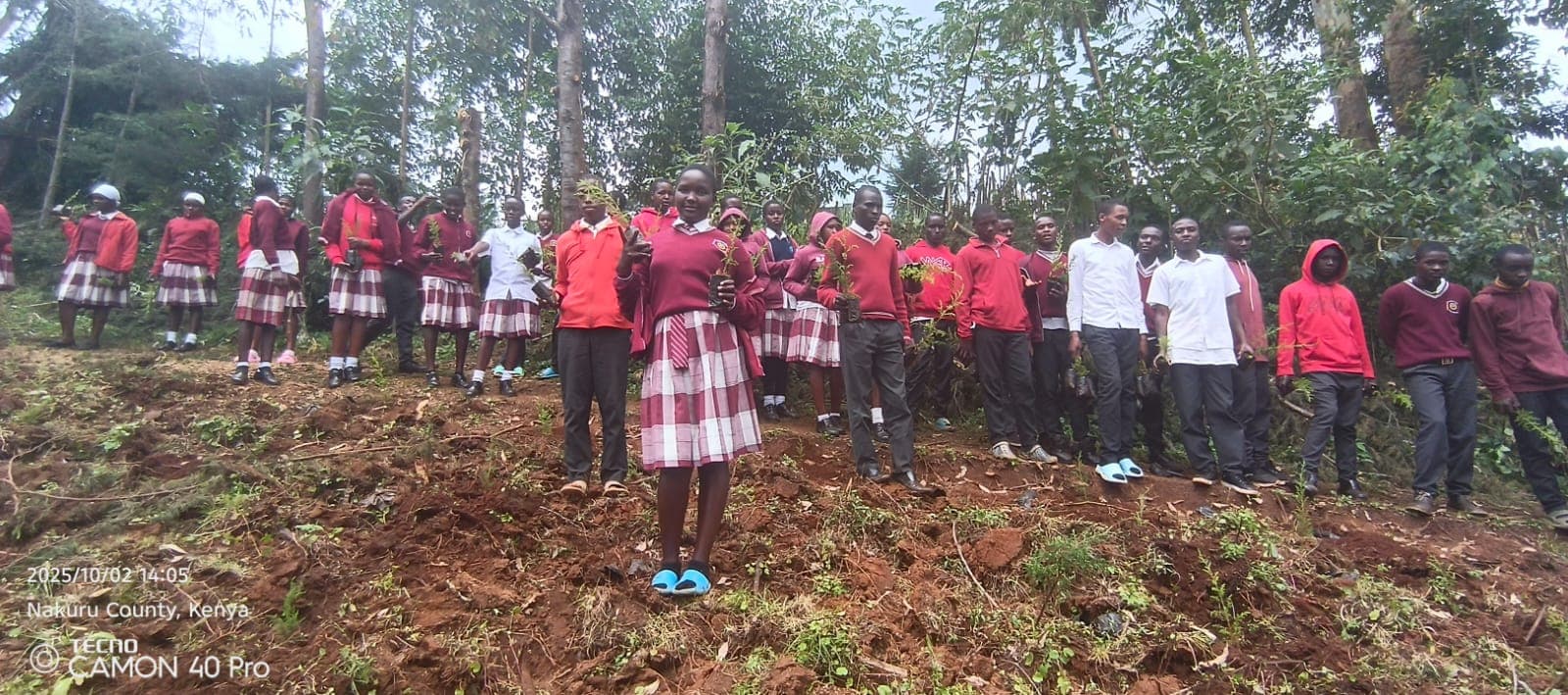 Students planting seedlings