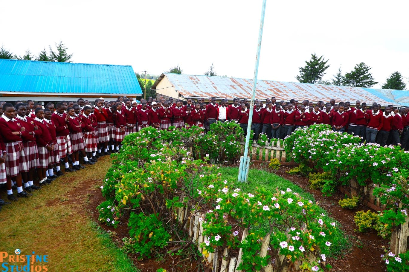 School compound and garden